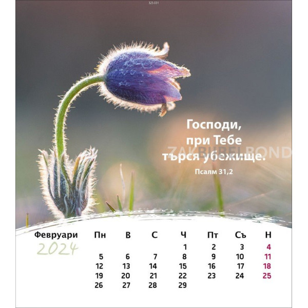 Bulgaarse ansichtkaartenkalender 2024 - Leven voor jou