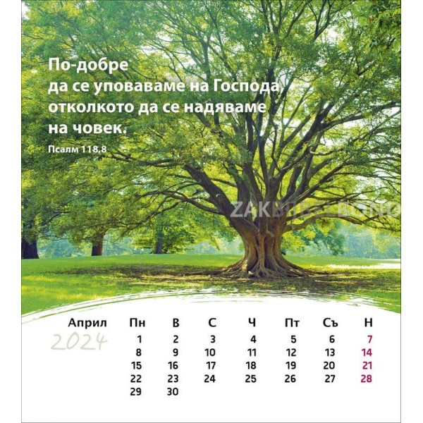 Bulgarian postcard calendar 2023 - Life for you