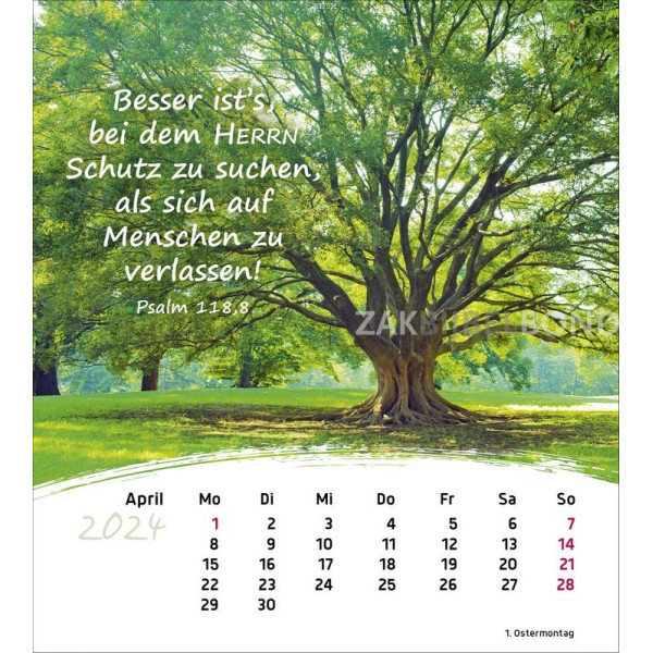 German postcard calendar 2024 - Life for you