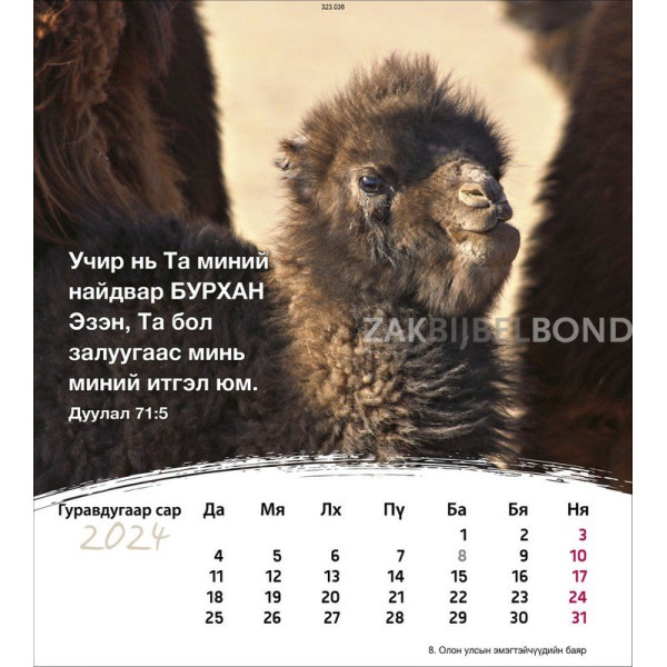 Mongolian postcard calendar 2024 - Life for you