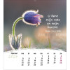 Nederlandse ansichtkaartenkalender 2024 - Leven voor jou