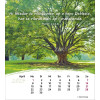 Romani ansichtkaartenkalender 2024 - Leven voor jou