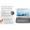 Afrikaans - A Letter for you