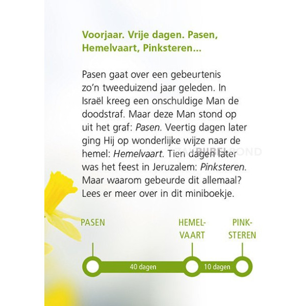Dutch Easter booklet - From Easter to Pentecostal