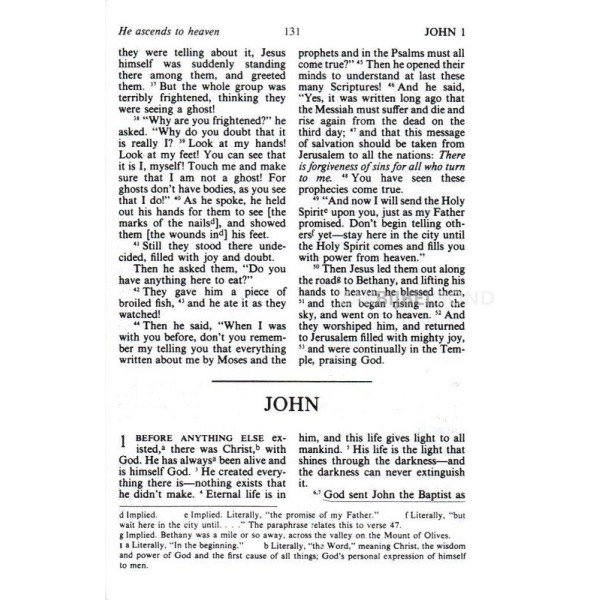 English New Testament Living Bible