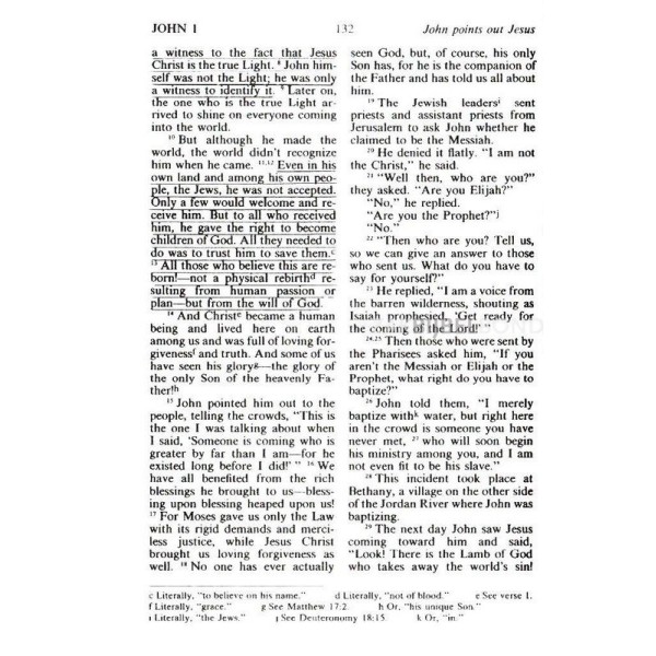 English New Testament Living Bible