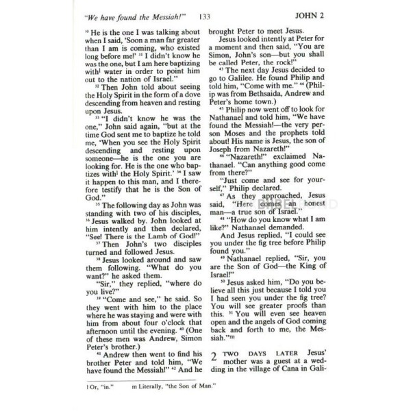 English New Testament Living Bible
