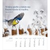 Albanese ansichtkaartenkalender 2025 - Leven voor jou