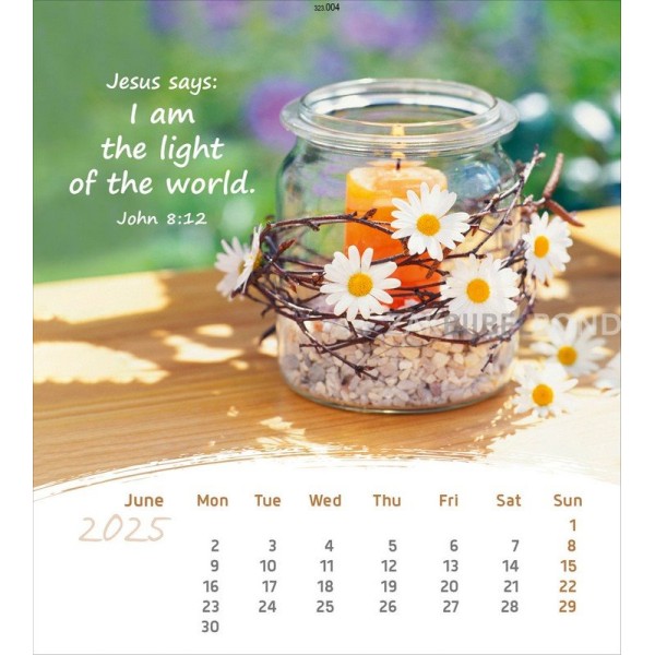 English postcard calendar 2025 -  Life for you