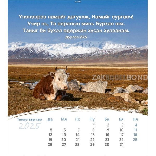 Mongoolse ansichtkaartenkalender 2025 - Leven voor jou