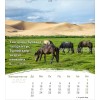 Mongoolse ansichtkaartenkalender 2025 - Leven voor jou
