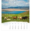 Mongoolse ansichtkaartenkalender 2025 - Leven voor jou