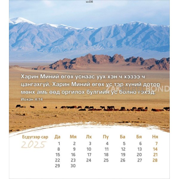 Mongoolse ansichtkaartenkalender 2025 - Leven voor jou