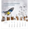Roemeense ansichtkaartenkalender 2025 - Leven voor jou