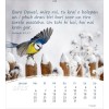 Romani postcard calendar 2025 - Life for you
