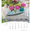 Romani ansichtkaartenkalender 2025 - Leven voor jou