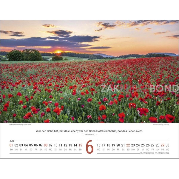 German Switserland calendar 2025