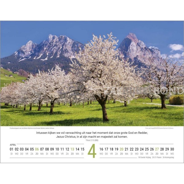 Nederlandse Zwitserlandkalender 2025