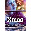 Nederlands evangelisatieboekje - Xmas
