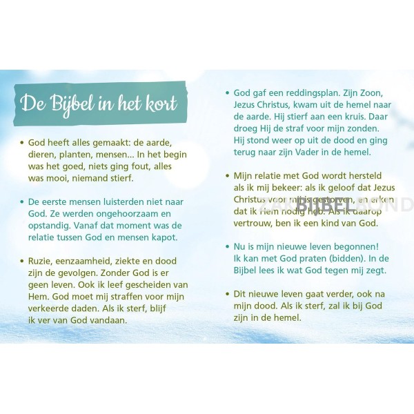 Nederlands evangelisatieboekje - Kerstgeschenk