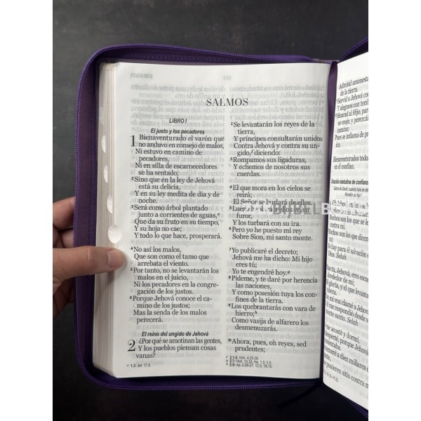 Spanish Bible RVR 60 - Letra Súper Gigante - purple thumb index zipper
