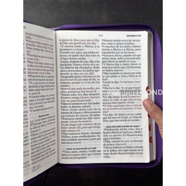 Spanish Bible RVR 60 - Letra Súper Gigante - purple thumb index zipper