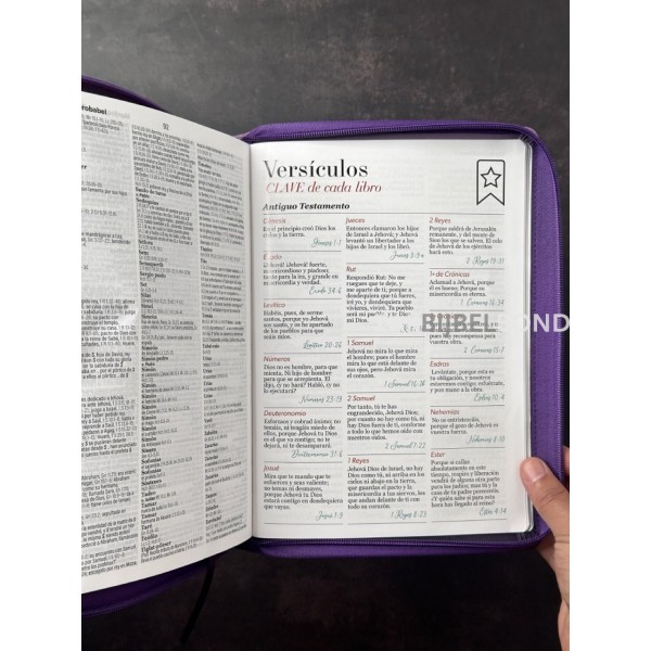 Spanish Bible RVR 60 - Letra Súper Gigante - purple thumb index zipper