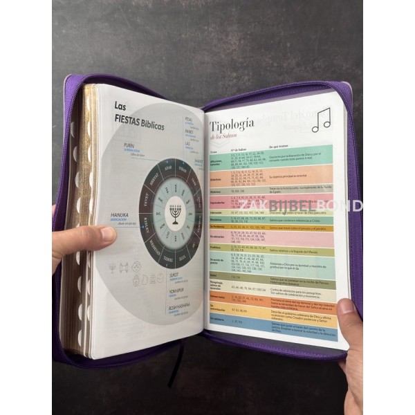 Spanish Bible RVR 60 - Letra Súper Gigante - purple thumb index zipper