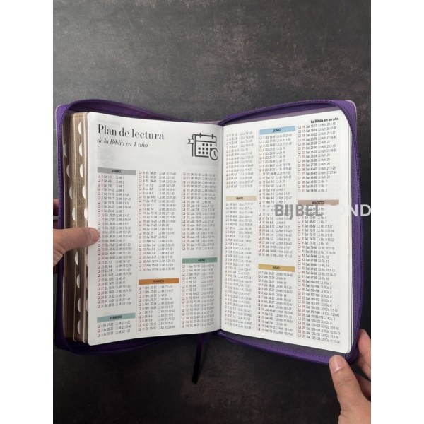 Spaanse Bijbel RVR 60 - Letra Súper Gigante - paars duimgrepen rits