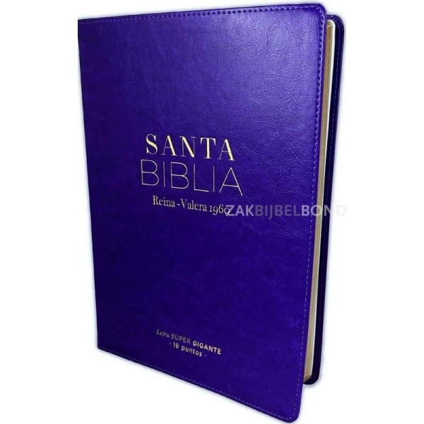 Spanish Bible RVR 60 - Letra Súper Gigante - purple