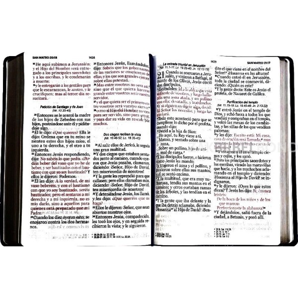 Spanish Bible RVR 60 - Letra Súper Gigante - purple