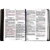 Spanish Bible RVR 60 - Letra Súper Gigante - purple