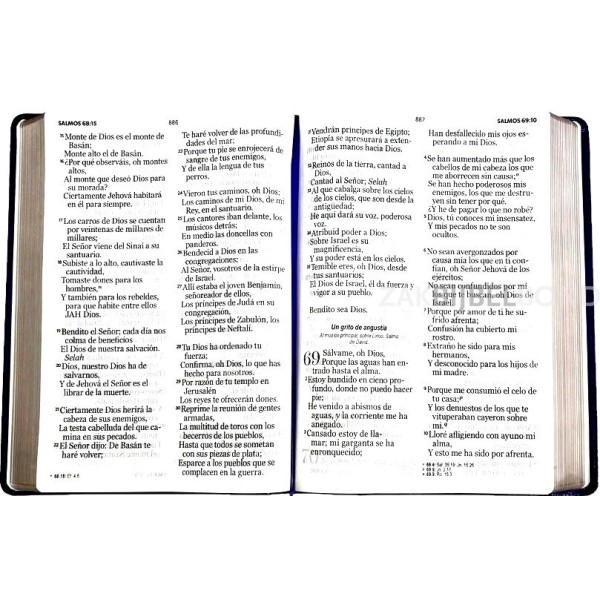 Spanish Bible RVR 60 - Letra Súper Gigante - purple