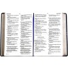 Spanish Bible RVR 60 - Letra Súper Gigante - purple