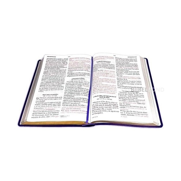 Spanish Bible RVR 60 - Letra Súper Gigante - purple