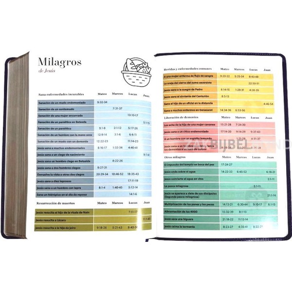 Spanish Bible RVR 60 - Letra Súper Gigante - purple