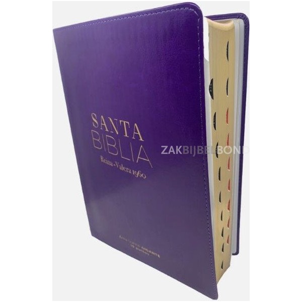 Spanish Bible RVR 60 - Letra Súper Gigante - purple thumb index