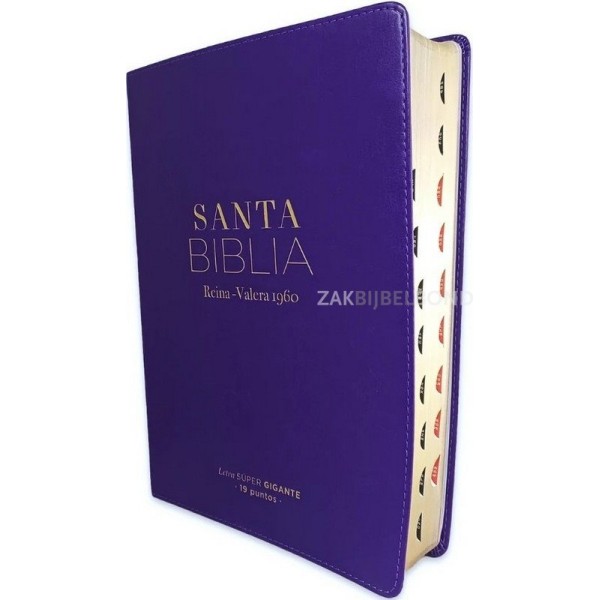 Spanish Bible RVR 60 - Letra Súper Gigante - purple thumb index