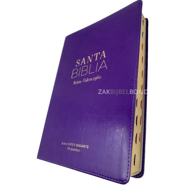 Spanish Bible RVR 60 - Letra Súper Gigante - purple thumb index