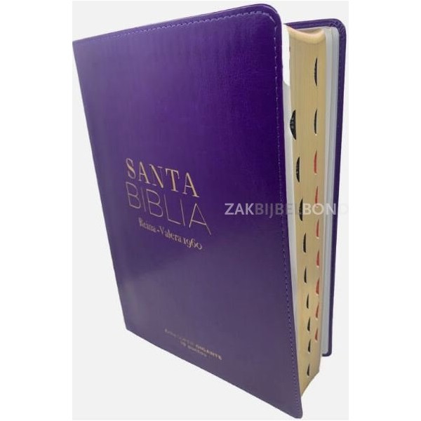 Spanish Bible RVR 60 - Letra Súper Gigante - purple thumb index