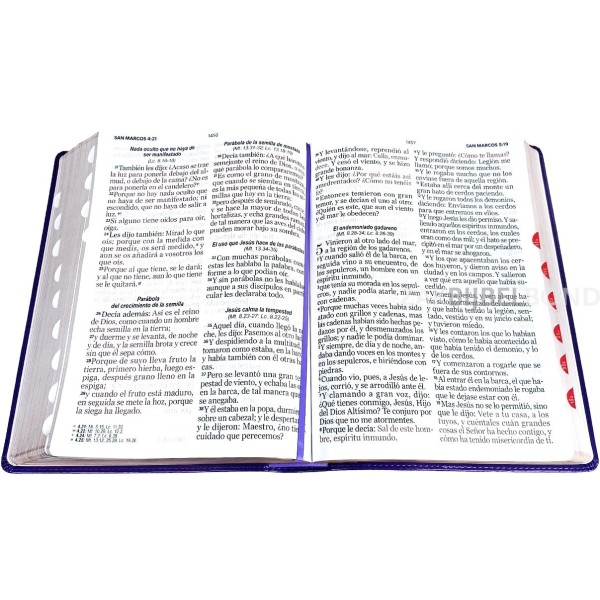 Spanish Bible RVR 60 - Letra Súper Gigante - purple thumb index