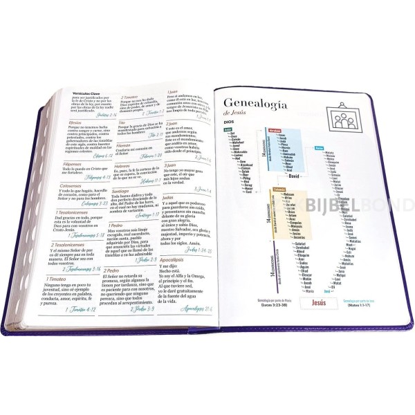 Spanish Bible RVR 60 - Letra Súper Gigante - purple thumb index