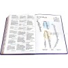 Spanish Bible RVR 60 - Letra Súper Gigante - purple thumb index