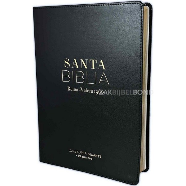 Spanish Bible RVR 60 - Letra Súper Gigante