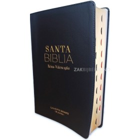 Spaanse Bijbel RVR 60 - Letra Súper Gigante - duimgrepen
