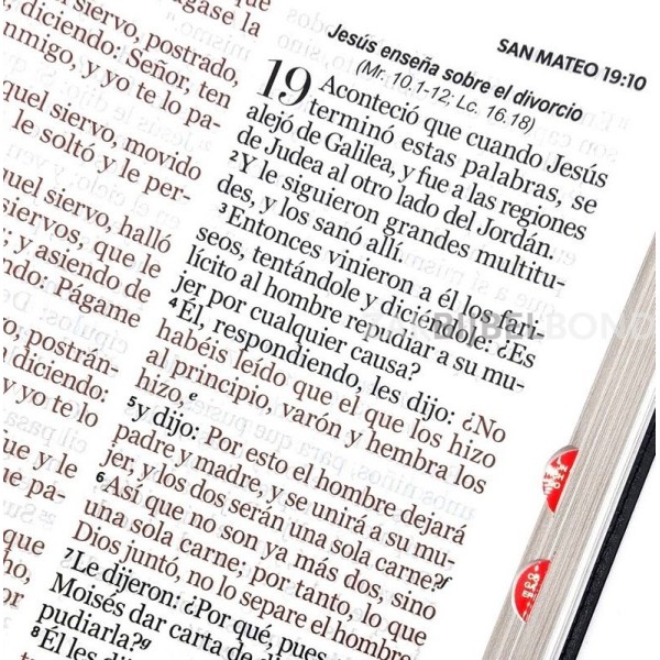 Spaanse Bijbel RVR 60 - Letra Súper Gigante - duimgrepen