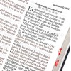 Spaanse Bijbel RVR 60 - Letra Súper Gigante - duimgrepen