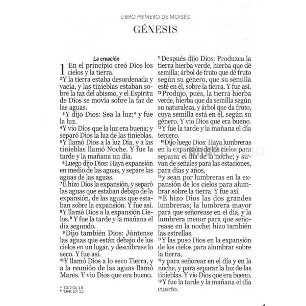 Spanish Bible RVR 60 - Letra Súper Gigante