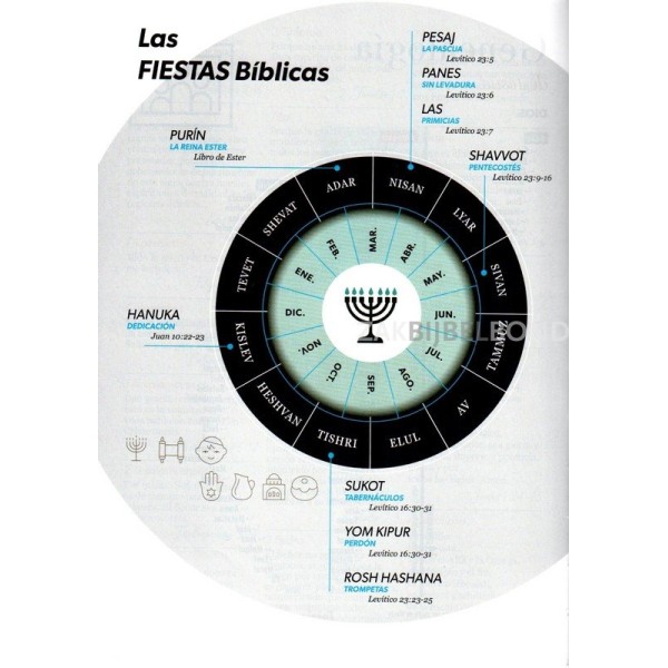 Spanish Bible RVR 60 - Letra Súper Gigante - thumb index zipper