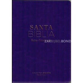 Spanish Bible RVR 60 - Letra Súper Gigante - purple